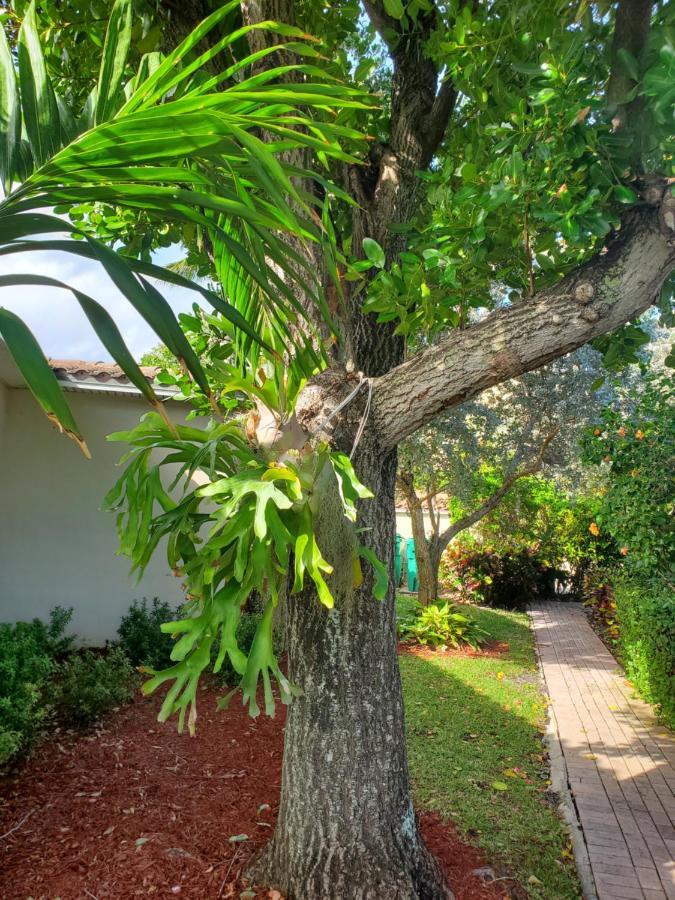 Ocean Side Resort - Updated Villa Hillsboro Beach Exterior foto